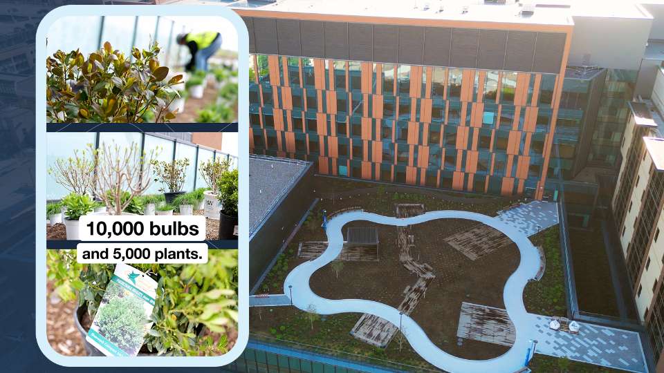 Rooftop garden video